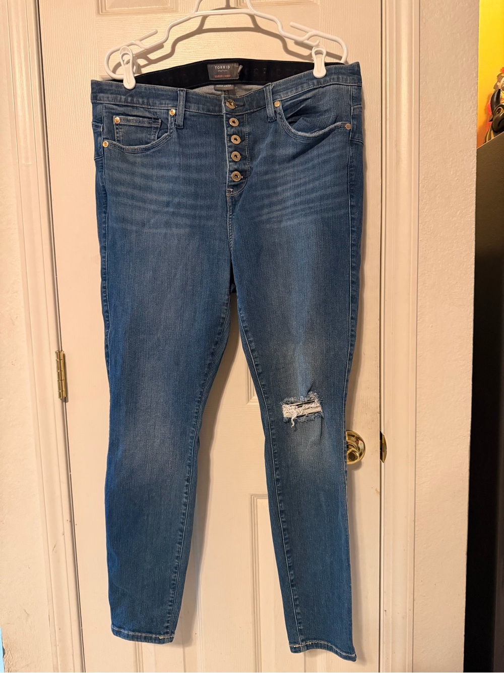 torrid bombshellSkinny Jeans in Blue Wash